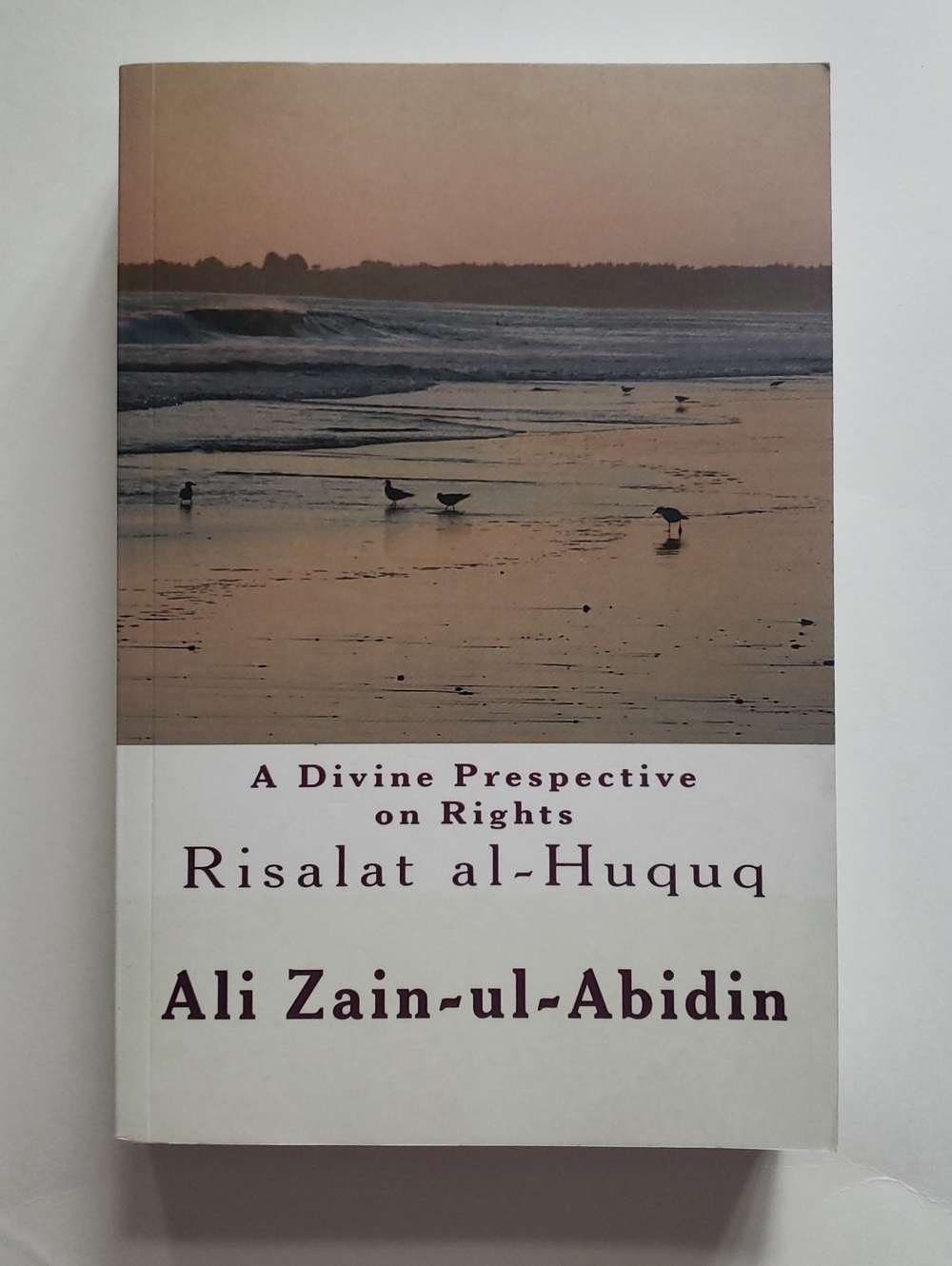 Risalat al-Huquq- A Divine Perspective on Rights